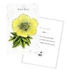 Schiffer Publishing Listening To Flowers Oracle Kortos