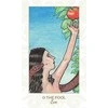 Schiffer Publishing Pistis Sophia The Goddess Taro Kortos