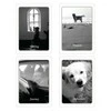 Schiffer Publishing Simple Wisdom Of The Household Dog Kortos