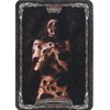 Schiffer Publishing Tarot Gothica Kortos