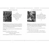 Schiffer Publishing The Celtic Book Of The Dead Oracle Kortos