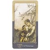 Schiffer Publishing The Ring Cycle Tarot Kortos