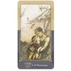 Schiffer Publishing The Ring Cycle Tarot Kortos