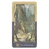 Schiffer Publishing The Ring Cycle Tarot Kortos