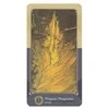 Schiffer Publishing The Ring Cycle Tarot Kortos
