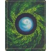 Schiffer Publishing The Žalias World Oracle Kortos