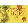 Schiffer Publishing Tree Of Life Oracle Kortos