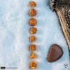 Sostų karai Baratheon kauliukų rinkinys – Q-Workshop, 8 vnt., RPG