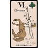 Weiser Books Tarot Kortų Rinkinys - Starlore Arcana 56 Kortos su Instrukciniu Knyga 13.4 x 18.9 cm