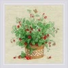 Strawberries in a Pot siuvinėjimo rinkinys iš RIOLIS Nr.: 1984