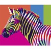 Tapyba pagal numerius Wizardi Tapyba pagal skaičius: Vaivorykštinis zebras, 40x50 cm rinkinys