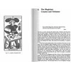 Weiser Books Tarot And The Archetypal Journey Knyga