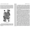 Weiser Books Tarot And The Archetypal Journey Knyga