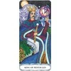 US Games Systems Tarot Of A Moon Garden Borderless Kortos