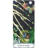 US Games Systems Tarot Of A Moon Garden Borderless Kortos