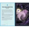The DC Taro Kortos Insight Editions