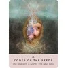 Hay House The Rose Pocket Oracle Kortos