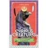 Taro Kortos Hay House The Tarot Of Curious Creatures