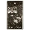 Harper One The Wild Unknown Animal Spirit Oracle Kortų Ir Knygos Rinkinys