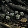Dėlionė Q-workshop The Witcher Leshen - The Totem Builder Kauliukų Rinkinys