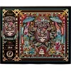 Theory 11 Grateful Dead psichodelinė dėlionė 1000 detalių – Theory11