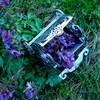 Time For Machine Gorgeous Gearbox - metalinio konstruktoriaus komplektas