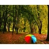 TPS Tapybos rinkinys "A bright umbrella in the fall"