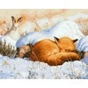 TPS Tapybos rinkinys "A fox in the winter forest"