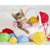 TPS Tapybos rinkinys "Cat and balls"
