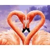 TPS Tapybos rinkinys "Flamingo love"