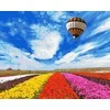 Tapybos rinkinys "Flight over tulip field"