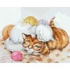 TPS Tapybos rinkinys "Kittens sleep in balls"
