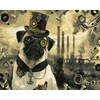 TPS Tapybos rinkinys "Mr. Mug in Steam Punk style"
