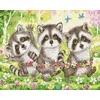 TPS Tapybos rinkinys "The raccoon on a stretcher"
