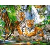 TPS Tapybos rinkinys "Tiger chicks by water"