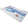 Ultra Pro UP - Playmat - Pokémon - Frosted Forest