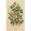 US Games Systems Unlocking The Secret Garden Oracle Kortos
