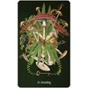 US Games Systems Unlocking The Secret Garden Oracle Kortos