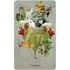 US Games Systems Unlocking The Secret Garden Oracle Kortos