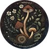 Us Games Systems Arcana Folia Oracle kortos – gamtos įkvėptas orakulas intuicijai