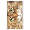 US Games Systems Cats Eye Taro Kortos