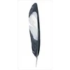 Oracle Kortos Divine Feather US Games Systems