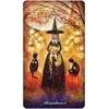US Games Systems Earthly Souls And Spirits Moon Oracle Kortos Ir Vadovas