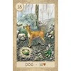 Us Games Systems Fairy Tale Lenormand Kortos Skardinėje Dėžutėje
