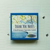 US Games Systems Inspirational Thank You Notes Kortos