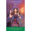 US Games Systems Inspirational Wisdom From Angels and Fairies Kortos