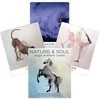 US Games Systems Nature And Soul Yoga Wisdom Kortos