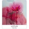 US Games Systems Nature And Soul Yoga Wisdom Kortos