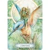 US Games Systems Oracle Of Light And Dreams Kortos
