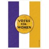 US Games Systems Women's Suffrage Žaidimų Kortos